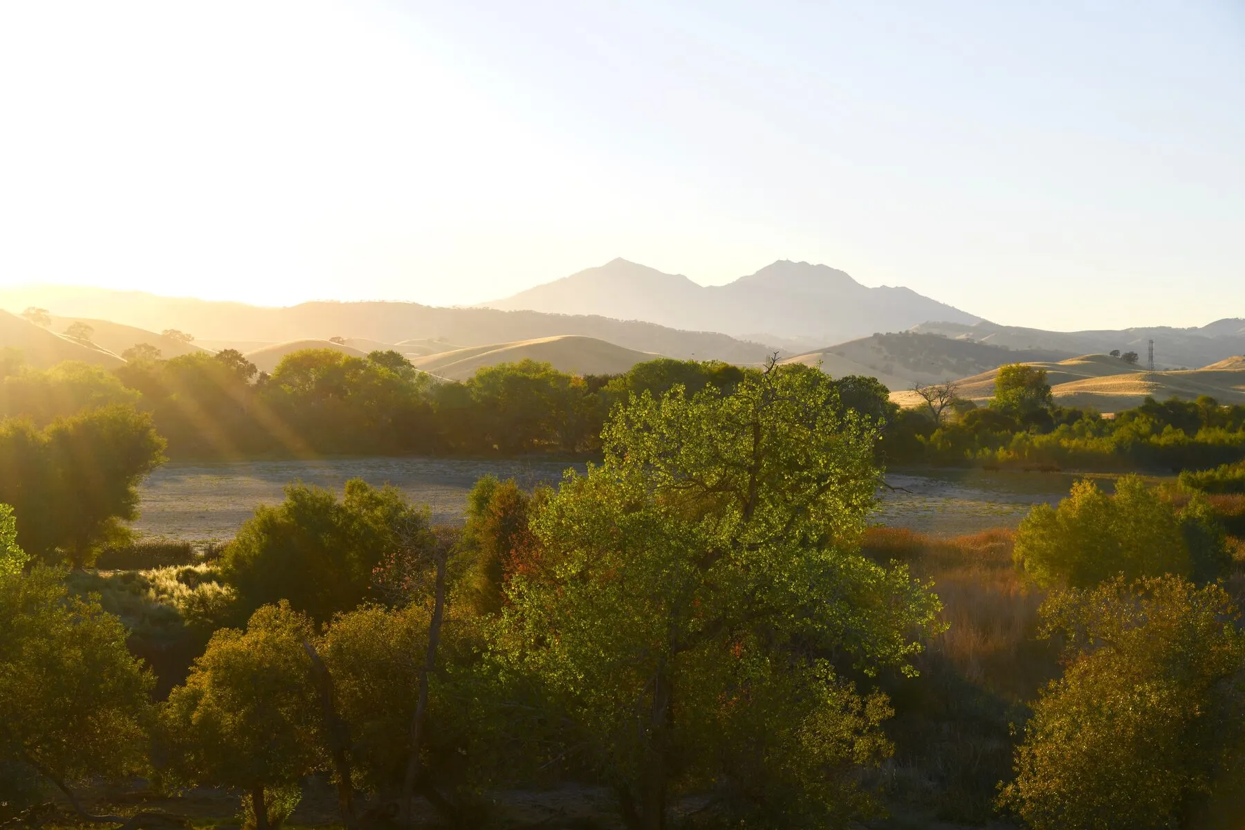 Sunrise behind Mount Diablo, with oaks and open grassland in the foreground.