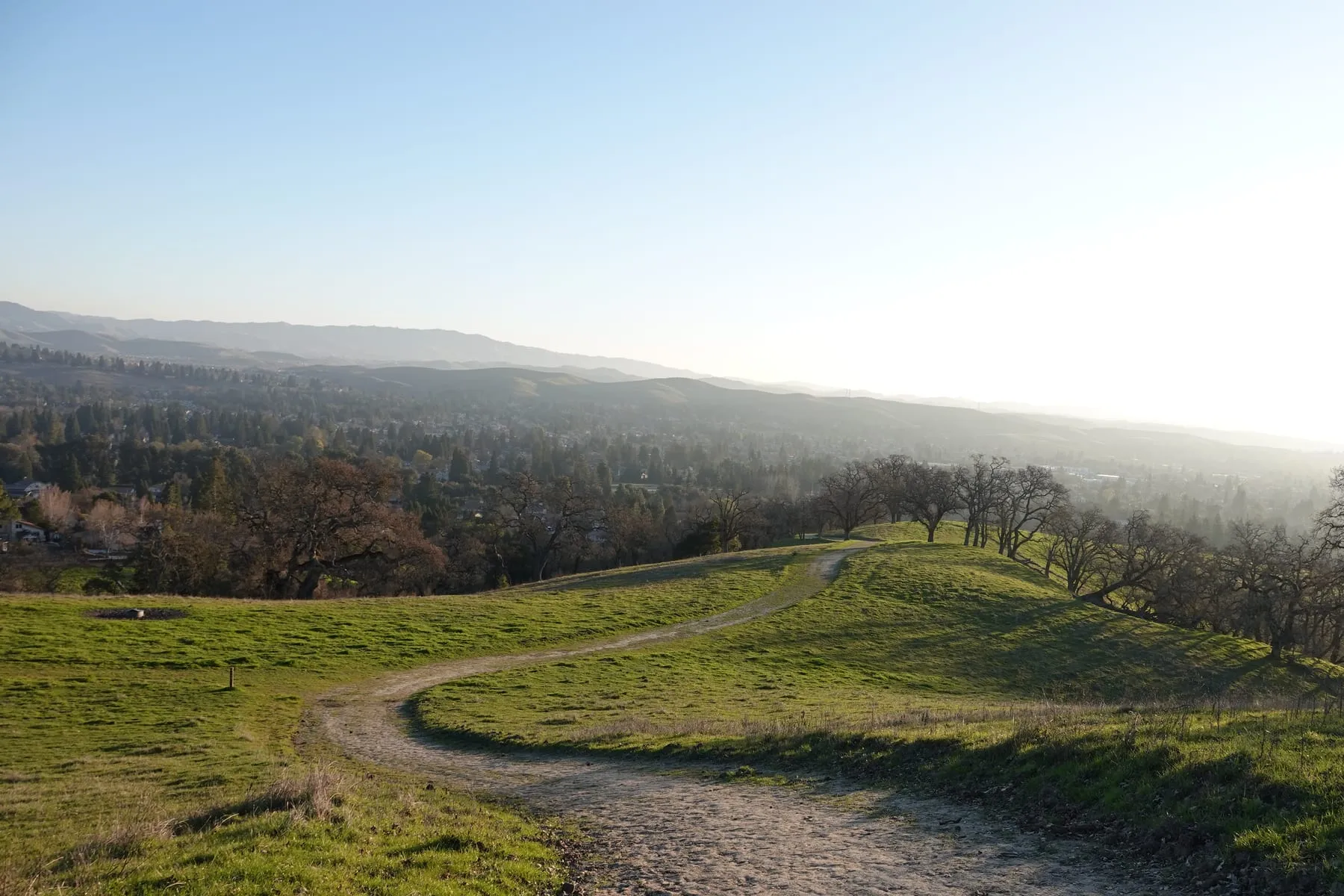 A dirt trail curving along a green ridge lined with oaks, overlooking a wooded valley.