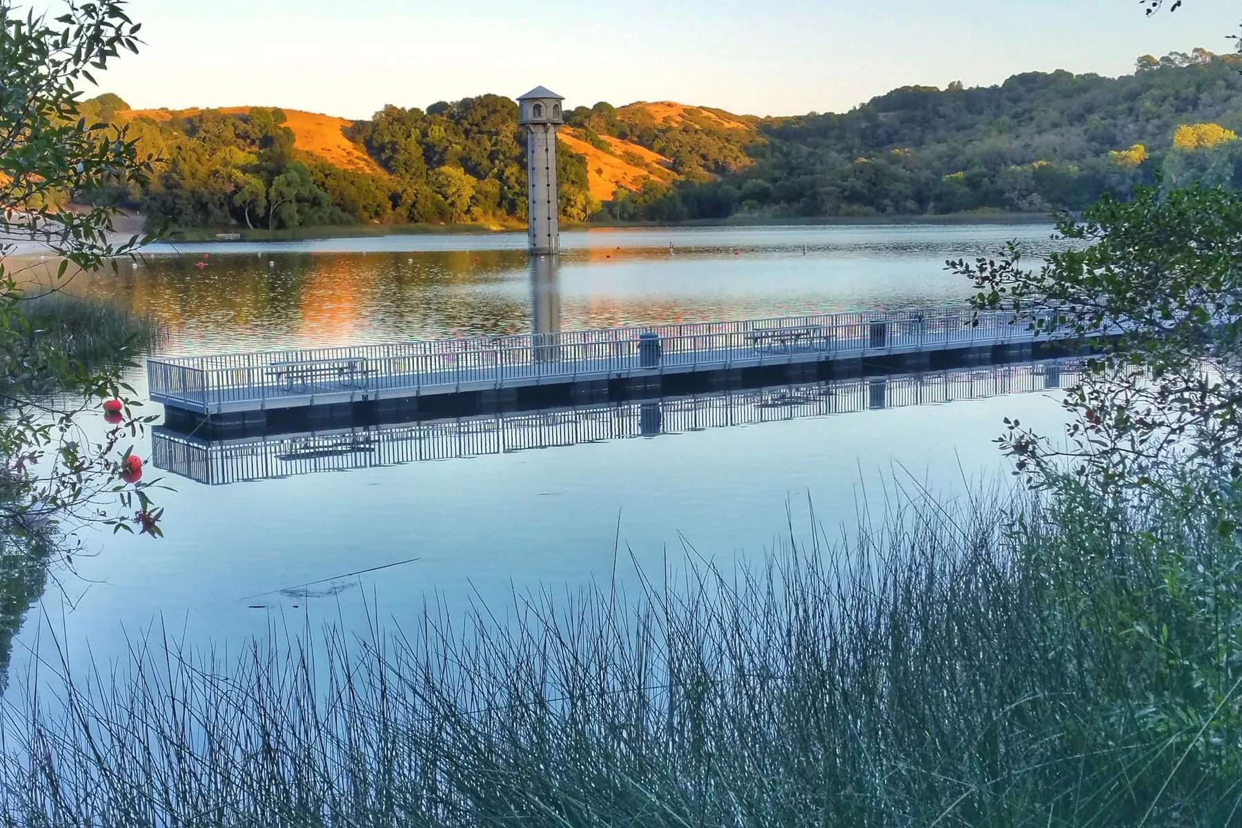 The Lafayette Reservoir intake tower and floating dock, with sunlit oak-covered hills behind.